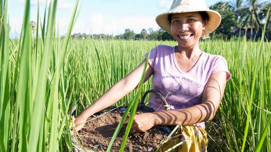 Image hover effect image