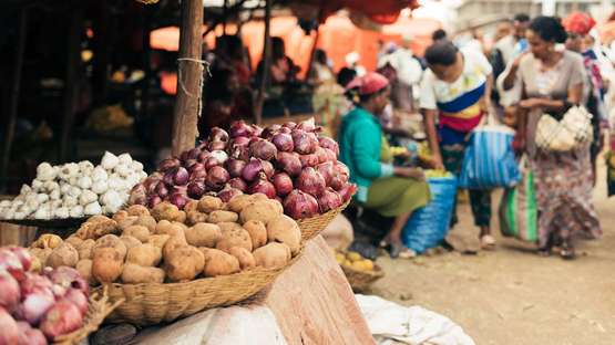 Image hover effect image