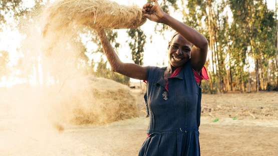 Image hover effect image