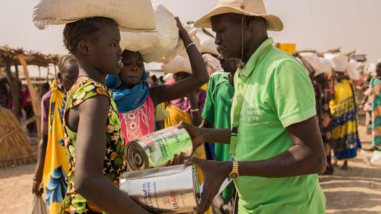 Image hover effect image