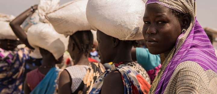 Image hover effect image