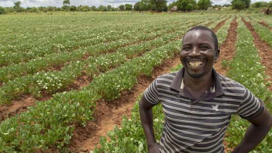 Image hover effect image