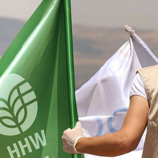 Image hover effect image