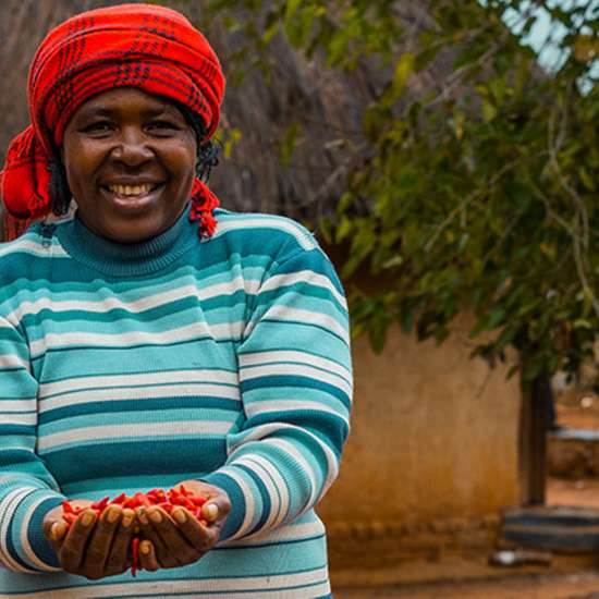 Image hover effect image