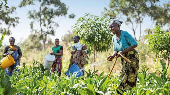 Image hover effect image