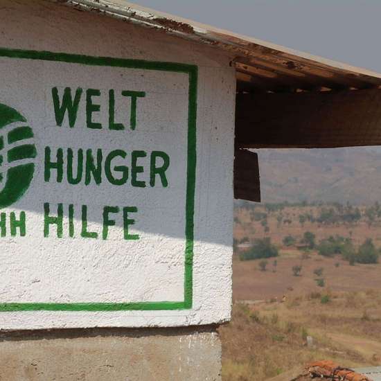 Image hover effect image